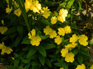 DSCN8151