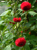 DSCN8165