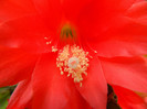 DSCN8167