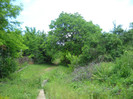 SDC23349 013