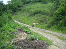 SDC23349 027