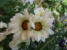 051