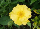 P5030376