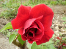 P5030384