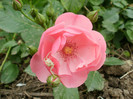 P5030396