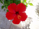 P1010583
