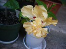 P1140496