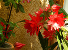 DSCN8173