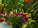 DSCN8176