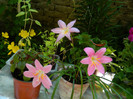 DSCN8181