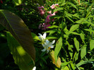 DSCN8203