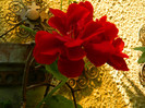 DSCN8206