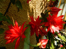 DSCN8209