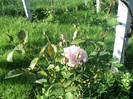 DSC05008