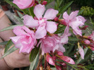 P1170584
