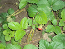 DSC00583