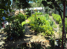 DSC00608