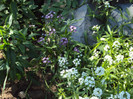 DSC00628