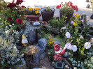 DSC00629
