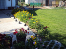 DSC00630