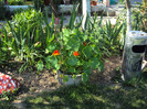 DSC00632