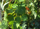 DSC00639