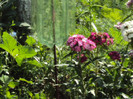 DSC00650