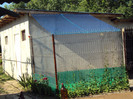 DSC00678