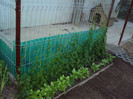 DSC00578