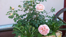 Abraham Darby