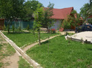 DSCF5904