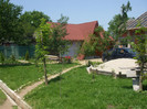 DSCF5905
