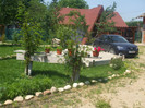 DSCF5910