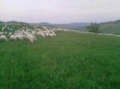 P080612_20.32_[02]