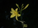 28052012