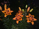 08062012