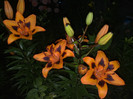 08062012