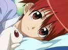 daisuke 6