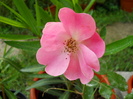 DSCN3902