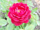 DSCN3898