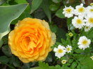 DSCN3918