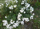 DSCN3836