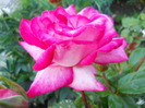 DSCN3851