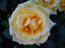DSCN3855