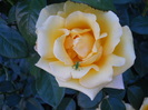DSCN3857