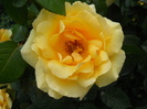 DSCN3881