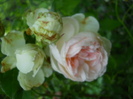 DSCN3944