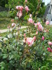 DSCN3895