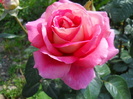 DSCN3885