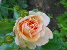 DSCN3939